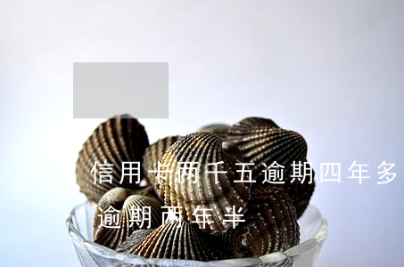 信用卡两千五逾期四年多少钱-5千信用卡逾期两年半