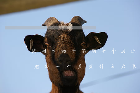 信用卡两千逾期每个月还一点(三千的信用卡逾期一个月有什么后果)