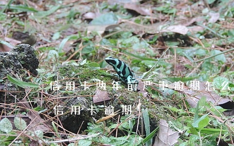信用卡两年前严重逾期怎么处理(两年十几次信用卡逾期)
