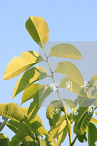 信用卡两年前有过连续三个月逾期(两年十几次信用卡逾期)