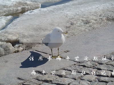 信用卡两年前逾期征信记录会有吗-信用卡两年前逾期征信记录会有吗怎么查