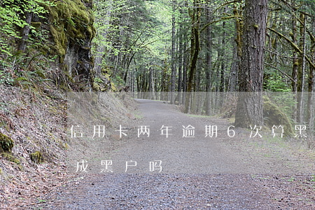 信用卡两年逾期6次算黑户嘛(多次逾期会变成黑户吗)