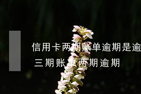 信用卡两期账单逾期是逾期两个月吗(信用卡三期账单两期逾期)