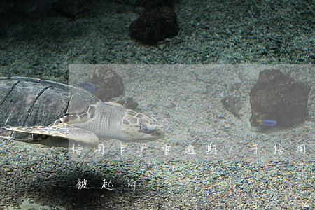 信用卡严重逾期7千(信用卡7千逾期多久会被起诉)
