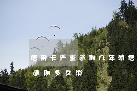 信用卡严重逾期几年消(信用卡2015年的逾期多久消)