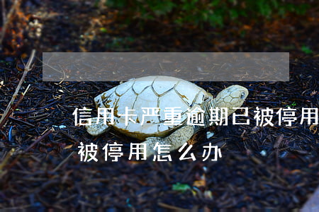 信用卡严重逾期已被停用(信用卡严重逾期已被停用怎么办)