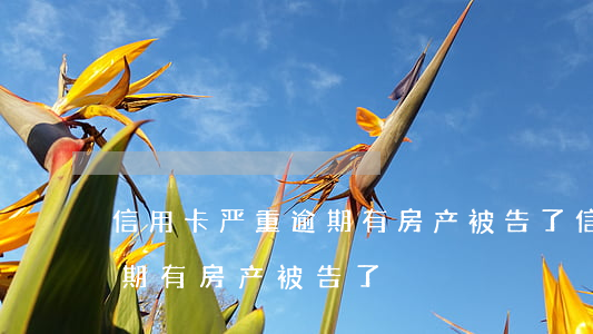 信用卡严重逾期有房产被告了（信用卡严重逾期有房产被告了）