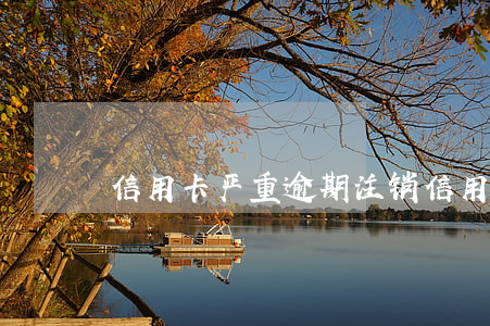 信用卡严重逾期注销(信用卡严重逾期注销)