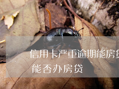 信用卡严重逾期能房贷吗(发生过信用卡逾期能否办房贷)