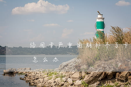 信用卡严重逾期补不了卡(不知道信用卡逾期怎么办)