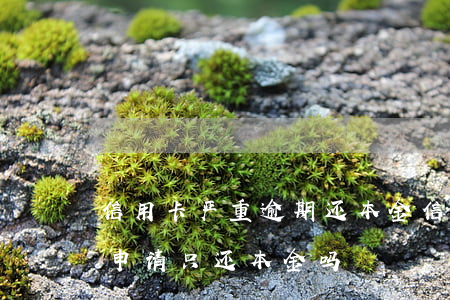 信用卡严重逾期还本金(信用卡逾期了很久能申请只还本金吗)