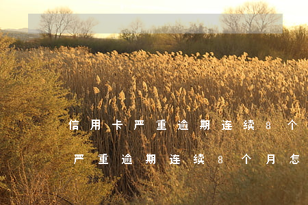 信用卡严重逾期连续8个月怎么办-信用卡严重逾期连续8个月怎么办理