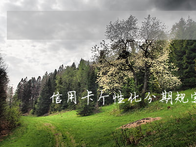 信用卡个性化分期规定-个性化分期坏处