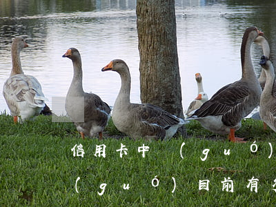 信用卡中國(guó)多少人逾期未還(中國(guó)目前有多少信用卡逾期未還)