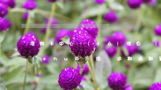 信用卡中心發(fā)信息來(lái)說(shuō)信貸逾期(逾期到信用卡中心)