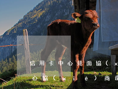 信用卡中心見面協(xié)商(去信用卡中心協(xié)商還款)