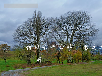 信用卡中心非惡意逾期證明(非惡意逾期證明銀行)