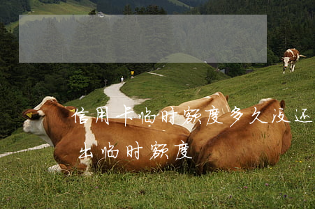 信用卡临时额度多久没还算逾期-逾期多久出临时额度