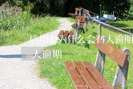信用卡为什么会有人逾期(信用卡为什么会有人逾期)