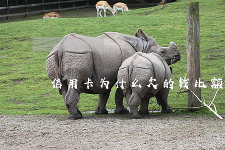 信用卡为什么欠的钱比额度还高-