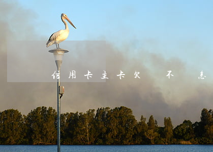 信用卡主卡欠錢不還怎么辦(信用卡 欠錢不還)