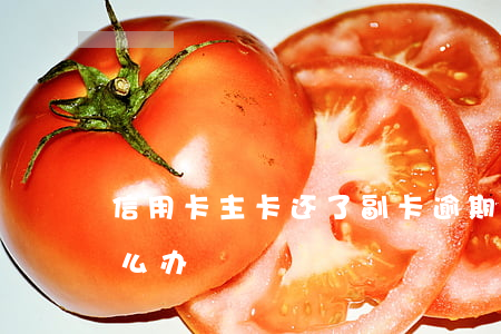 信用卡主卡还了副卡逾期(信用卡副卡逾期怎么办)