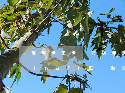 信用卡主卡還完副卡逾期(信用卡主卡逾期會(huì)影響副卡正常信用嗎)