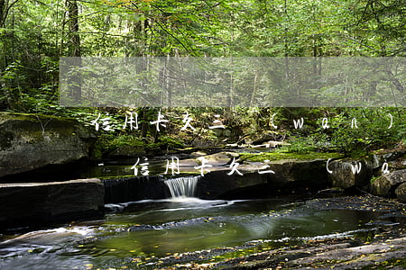 信用卡久三萬(wàn)逾期二年要還多少-信用卡久三萬(wàn)逾期二年要還多少利息