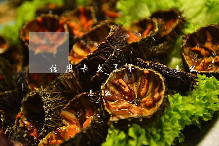信用卡久了不還會怎么樣(信用卡如果長期不還會怎么樣)