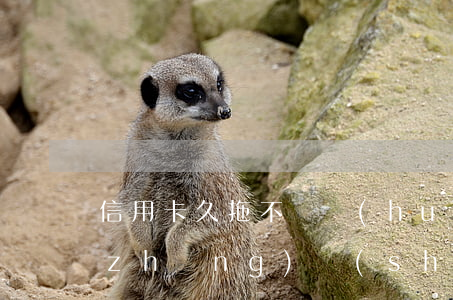 信用卡久拖不還會(huì)怎么處罰(長(zhǎng)時(shí)間拖欠信用卡怎么辦)