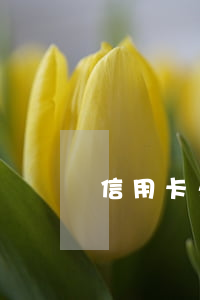 信用卡久拖不還會怎樣(信用卡拖延還款會怎樣)