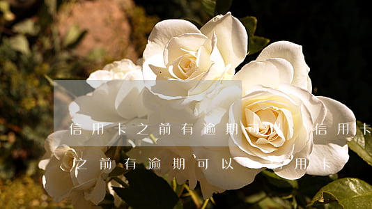 信用卡之前有逾期可以辦信用卡嗎-信用卡之前有逾期可以辦信用卡嗎