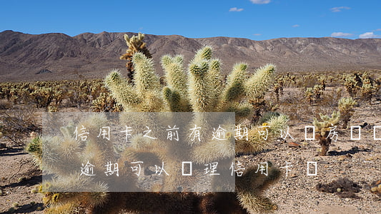 信用卡之前有逾期可以辦房貸嗎(銀行貸款有逾期可以辦理信用卡嗎)