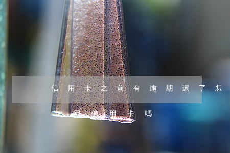 信用卡之前有逾期還了怎么(逾期還清后還能使用信用卡嗎)