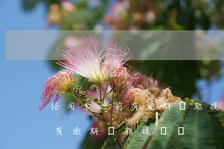 信用卡之前有逾期還能提額嗎嗎（信用卡之前有逾期還能提額嗎）
