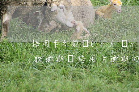 信用卡之前產(chǎn)生的逾期利息(貸款逾期與信用卡逾期的后果是什么)