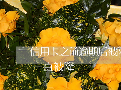 信用卡之前逾期后被降額(為什么我的信用卡一直被降額)