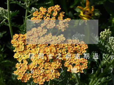 信用卡之前逾期過(guò)能辦0元購(gòu)機(jī)嘛