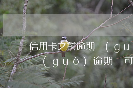信用卡之前逾期過(guò)還能重新辦(有過(guò)逾期還可以申請(qǐng)信用卡嗎)