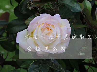 信用卡九千多逾期(欠信用卡九千多半年没还,会被怎么样?)