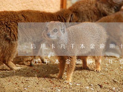 信用卡九千本金逾期十年要还多少-信用卡九千本金逾期十年要还多少利息