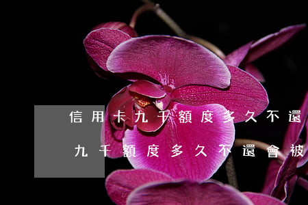 信用卡九千額度多久不還會被起訴-信用卡九千額度多久不還會被起訴呢