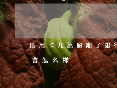 信用卡九萬逾期了銀行起訴(9萬信用卡逾期會怎么樣)