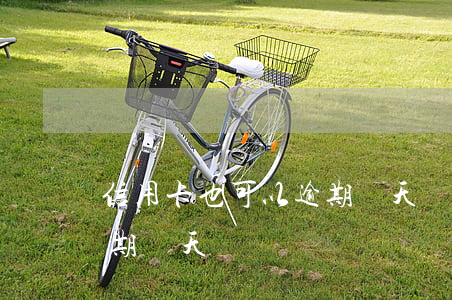 信用卡也可以逾期幾天嗎(信用卡是否可以逾期幾天)