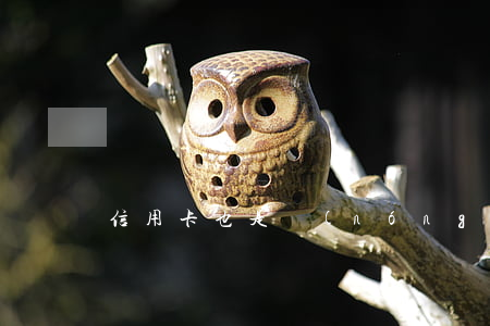 信用卡也是農(nóng)行的逾期了