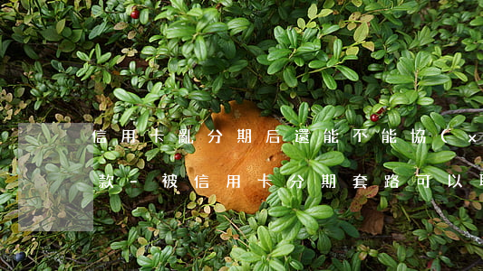 信用卡亂分期后還能不能協(xié)商還款-被信用卡分期套路可以取消嗎
