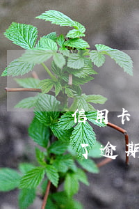 信用卡了逾期拍賣房產(chǎn)（信用卡了逾期拍賣房產(chǎn)）