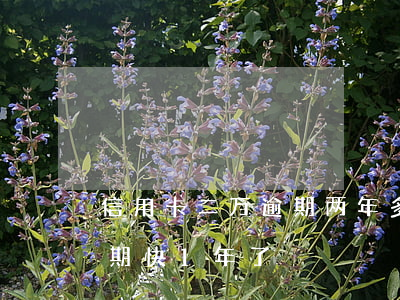 信用卡二万逾期两年多(信用卡欠了2万多逾期快1年了)