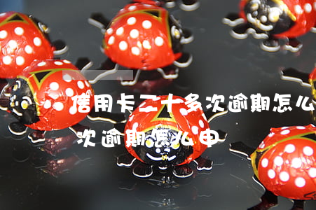 信用卡二十多次逾期怎么申訴(信用卡二十多次逾期怎么申訴電話)