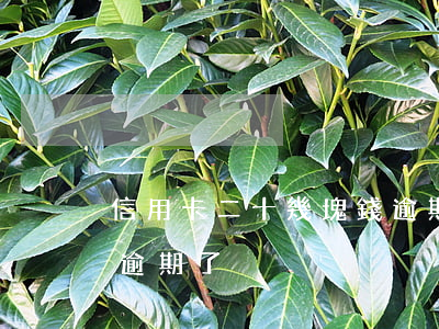 信用卡二十幾塊錢逾期了(信用卡二十幾塊錢逾期了)